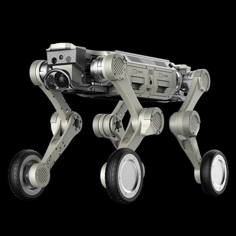 D1 Max