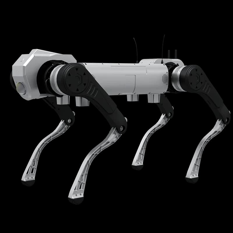 D1 MaxPro